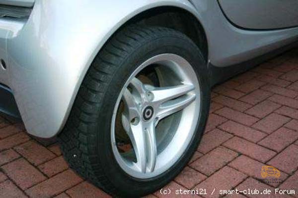 sterni21-1